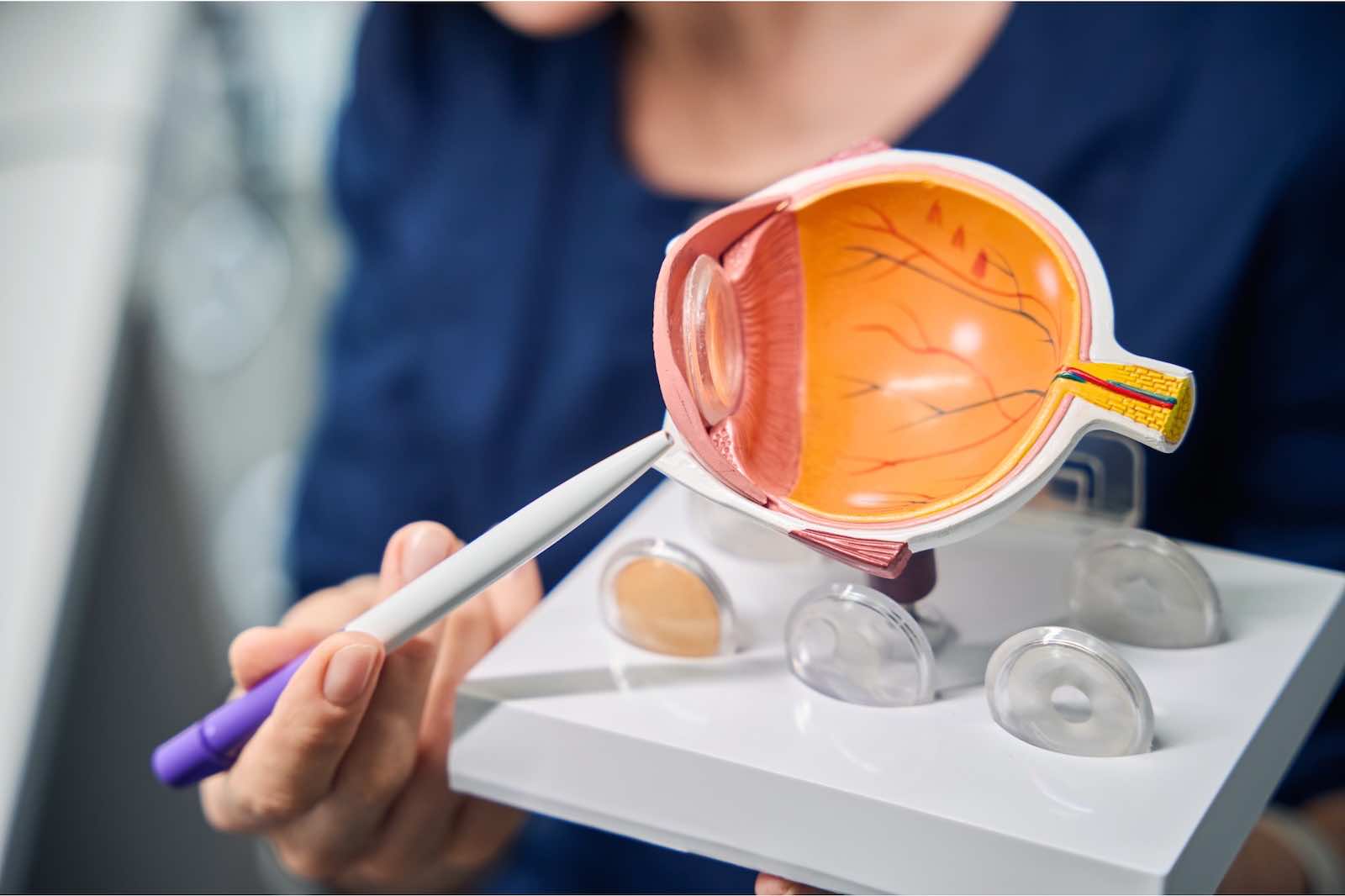 Augenarztpraxis Dr. med- Mareen Schmidt