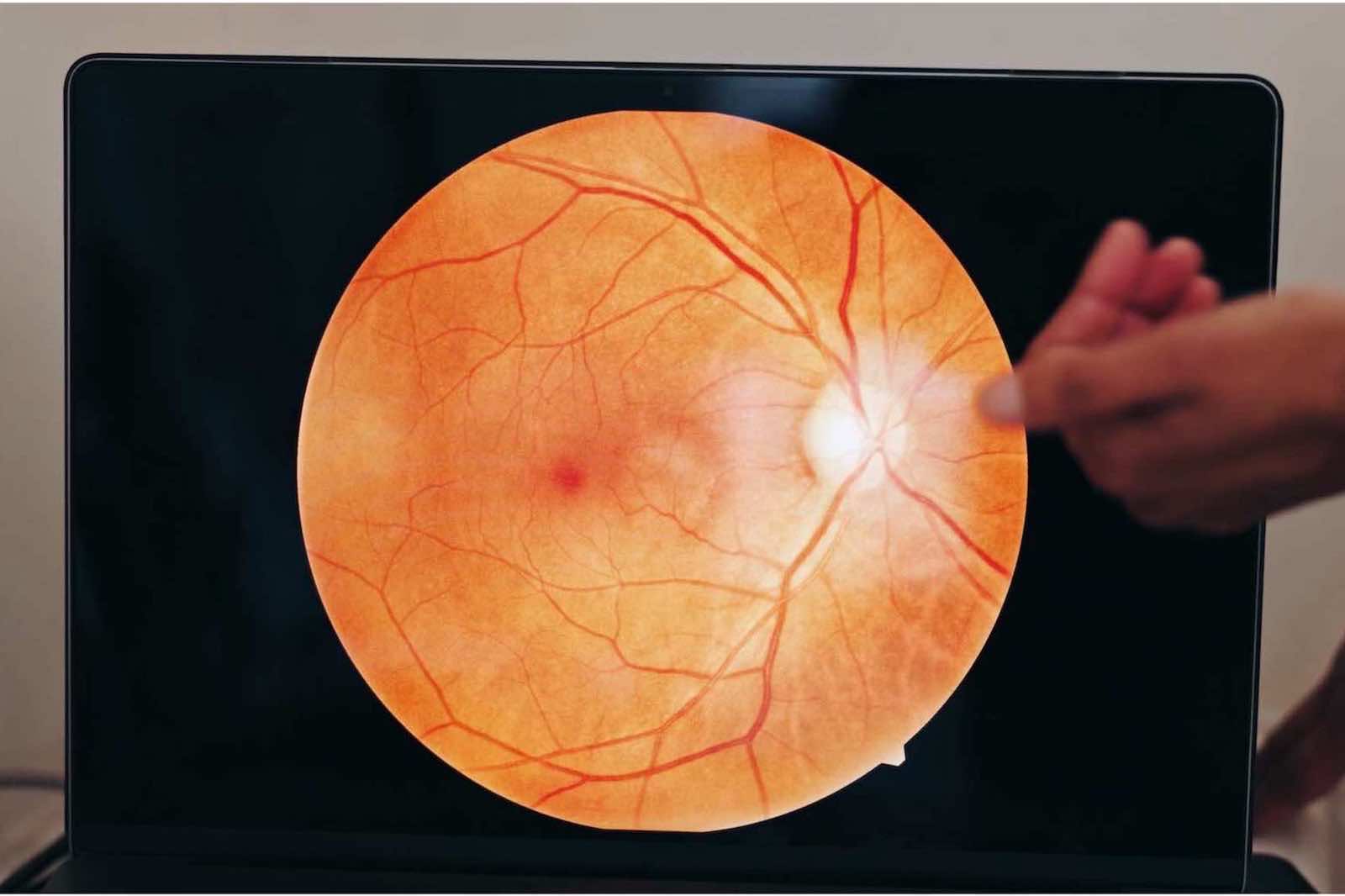 Augenarztpraxis Dr. med- Mareen Schmidt